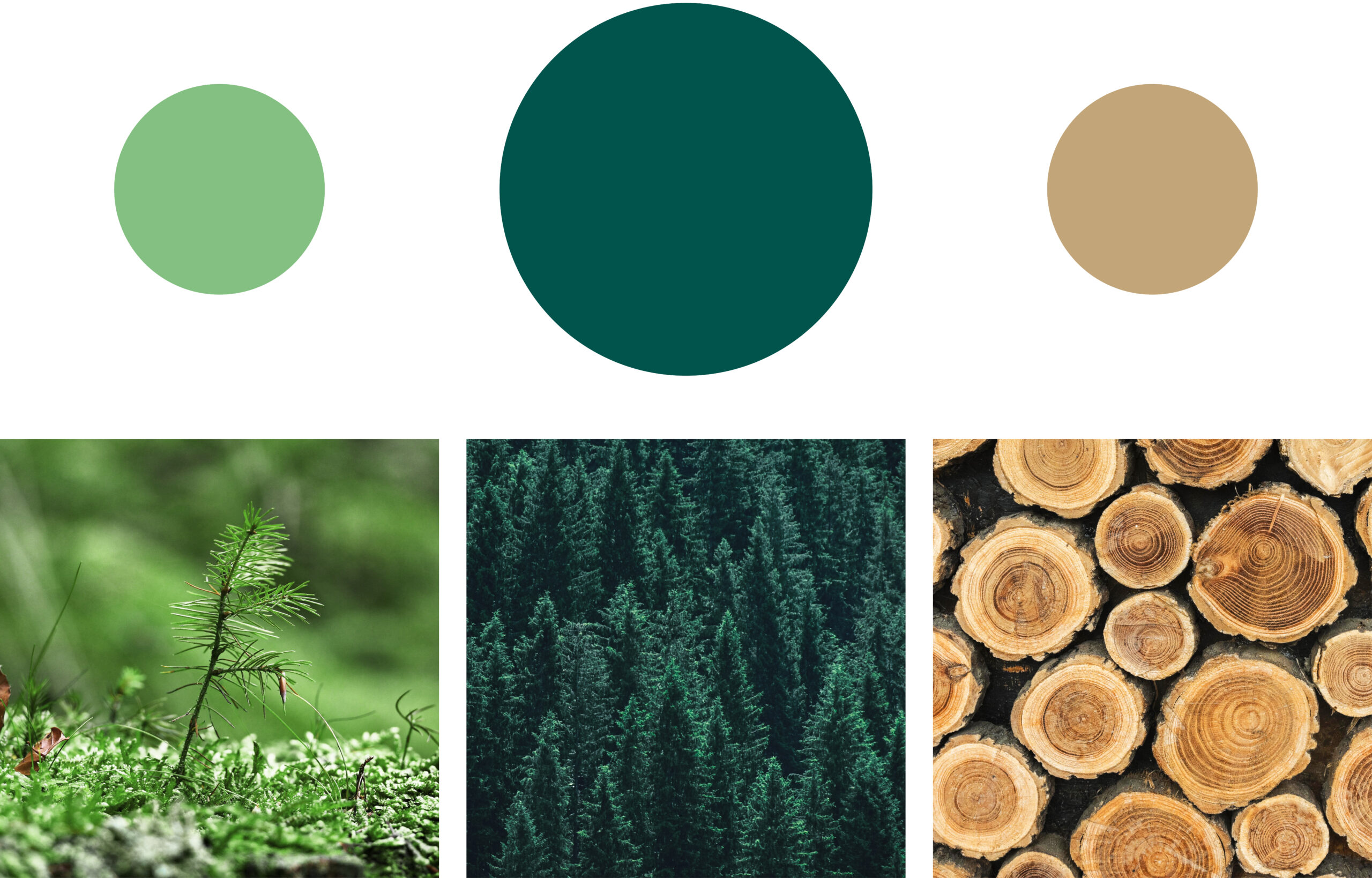 Neuwieser Forstdienstleistung